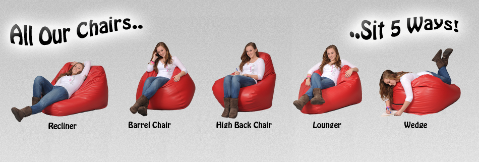 Beanbag 5 Way